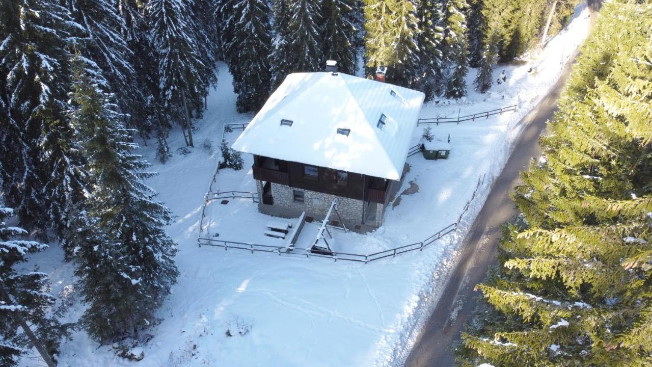 Apartments Villa Vesna Pokljuka Goreljek ภายนอก รูปภาพ